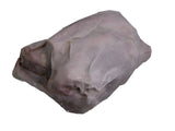 USDA Fresh American Lamb Shanks, approx. 6.5-8.0 lb - Parthenon Foods
