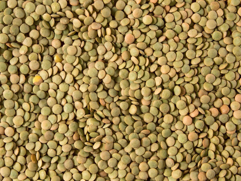 Whole Green Lentils, Small, 16oz - Parthenon Foods